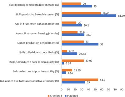 Cellular and Molecular Insights Into the Etiology of Subfertility/Infertility in Crossbred Bulls (Bos taurus × Bos indicus): A Review